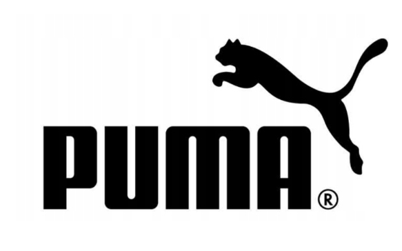 T-shirt koszulka PUMA 581173 02 Logo biała